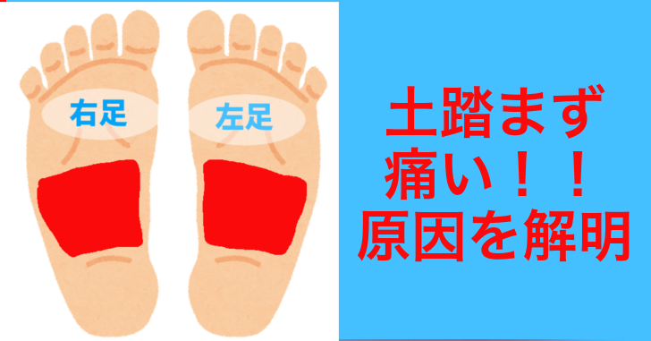 土踏まず - Arches of the foot - JapaneseClass.jp